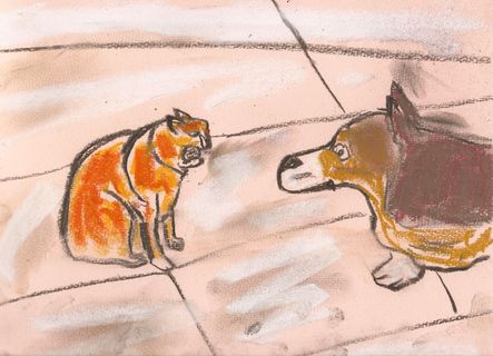 Angry cat and dog
